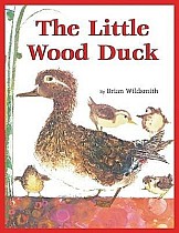 The Little Wood Duck