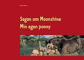 Sagan om Moonshine