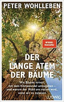 Der lange Atem der Bäume