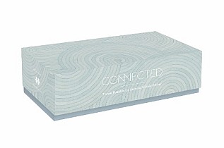 Connected: Three Puzzles