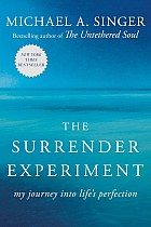 The Surrender Experiment