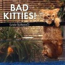 Bad Kitties Cute Kittens