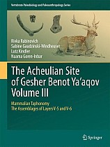 The Acheulian Site of Gesher Benot  Ya¿aqov  Volume III