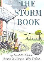 The Storm Book