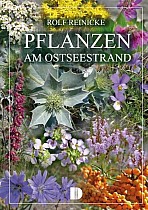 Pflanzen am Ostseestrand