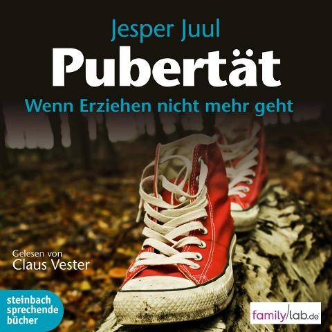 Pubertät (audiobook)