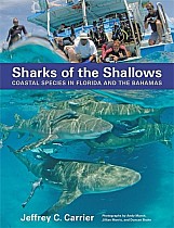 Sharks of the Shallows: Coastal Species in Florida and the Bahamas