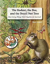 The Rodent, the Bee,  and the Brazil Nut Tree