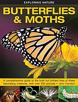 Exploring Nature: Butterflies & Moths