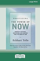 Practicing the Power of Now