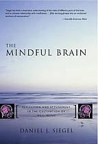 The Mindful Brain