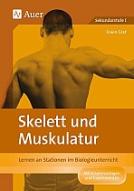 Skelett und Muskulatur