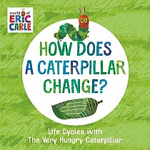 How Does a Caterpillar Change?