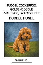 Puddel, Cockerpoo, Goldendoodle, Maltipoo, Labradoodle (Doodle Hunde)