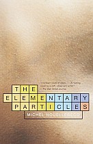 The Elementary Particles