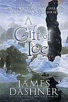 A Gift of Ice