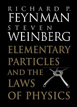 Elementary Particles and the Laws of Physics