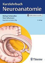 Kurzlehrbuch Neuroanatomie